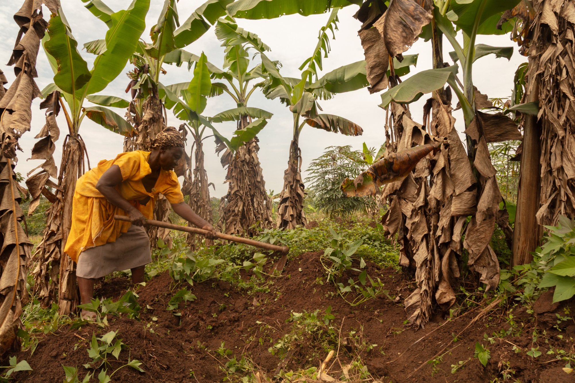 Lend a Hand Uganda